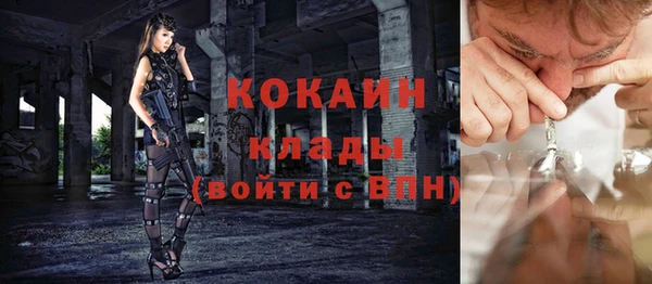 стаф Арсеньев