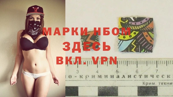 стаф Арсеньев