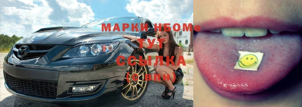 стаф Арсеньев