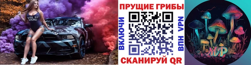 mega как войти  Богородск  Псилоцибиновые грибы Psilocybine cubensis 